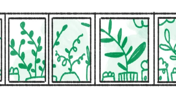 10 вікна без розводів