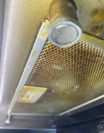 3C339426 9D60 4DF8 9A13 60D3BD2C49AE