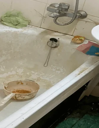 photo 2023 05 05 23.18.37 1.png.pagespeed.ce .ojB5uD9fN8