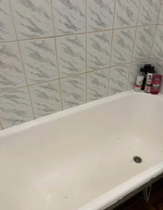 photo 2023 05 06 14.16.40.jpeg.pagespeed.ce .3n1OxuIVHO